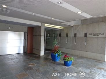 小石川ウォールズ