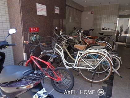 グレースレイ岸