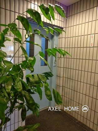 ベルスクエア小石川