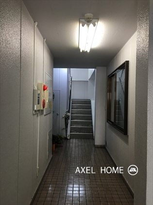 モルフォ