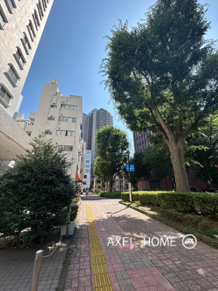 ドミ小石川