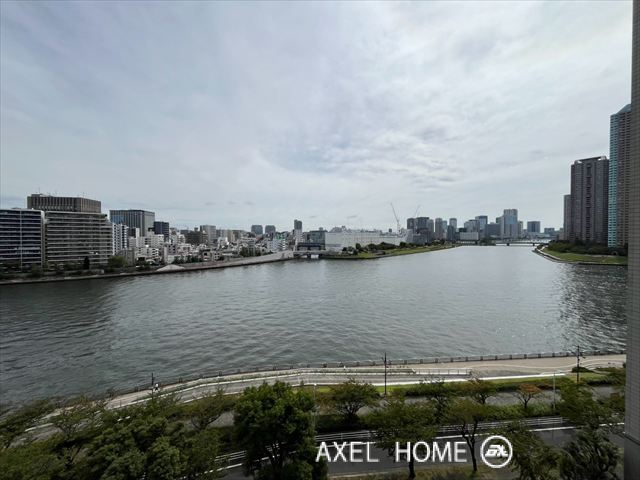 隅田リバーサイドタワー