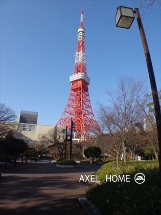 ラフィーヌ芝公園