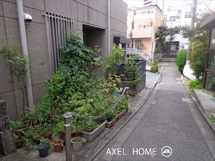 清和ハウス