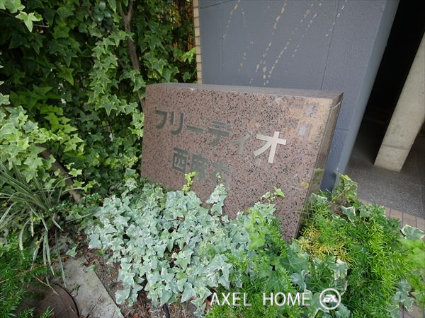 フリーディオ西麻布