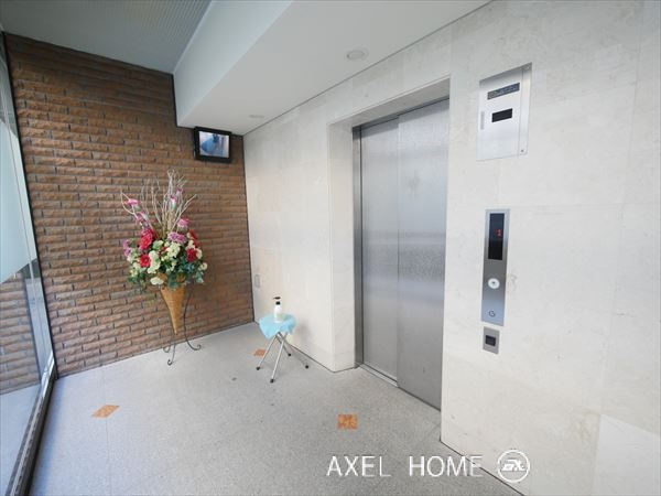 アデニウム新橋