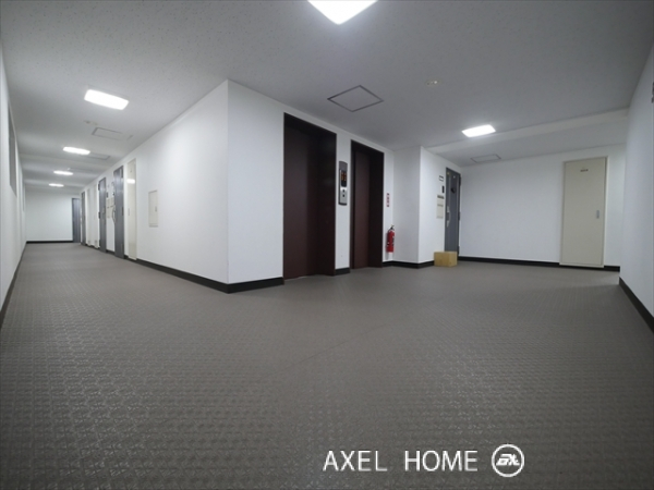 ライオンズマンション平河町