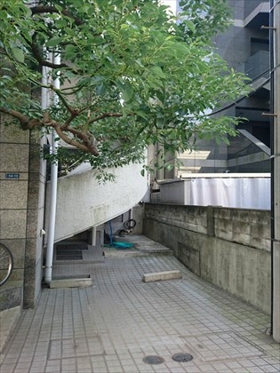 駐車場イメージ1