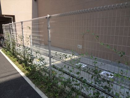 駐車場イメージ2
