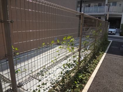 駐車場イメージ4