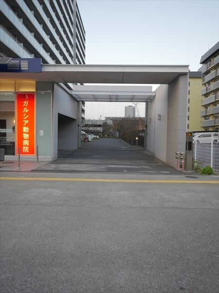 駐車場イメージ5