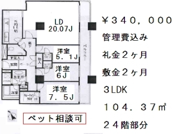 西早稲田パークタワー