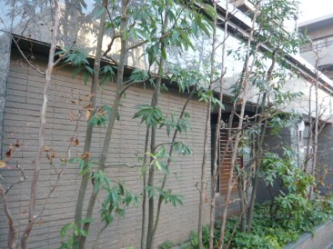 マートルコート代々木公園