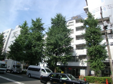 マンションVIP原宿　（マンションヴィップ原宿）