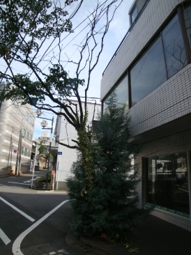 フォーラム千駄ヶ谷（店舗　事務所）