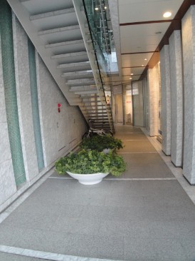 IL CENTRO SERENO（イルチェントロセレーノ）