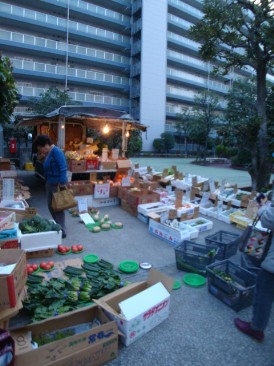 豊洲ハイライズ