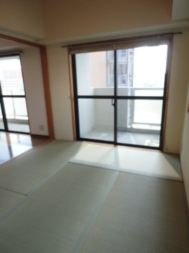 マイキャッスル リバーフロントタワー銀座東