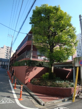 ドムス青山