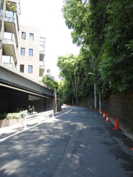 東急ドエルプレステージ赤坂氷川町