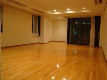 東急ドエルプレステージ赤坂氷川町