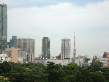 コンフォリア南青山 （COMFORIA南青山）