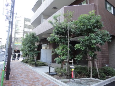 サンクタス127