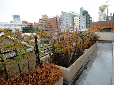 アヴァン南青山 （ＡＶＡＮＴ南青山）