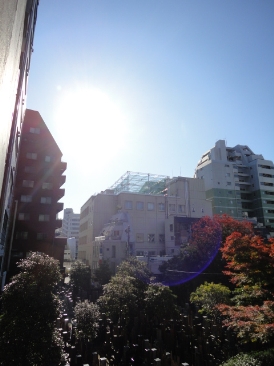 ハウスM