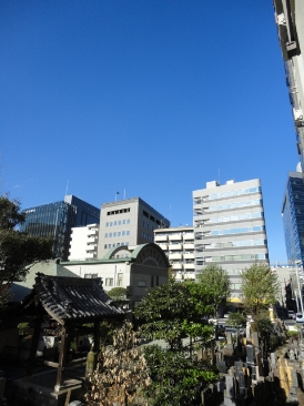 ハウスM