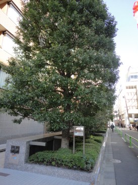 グランフォルム六番町