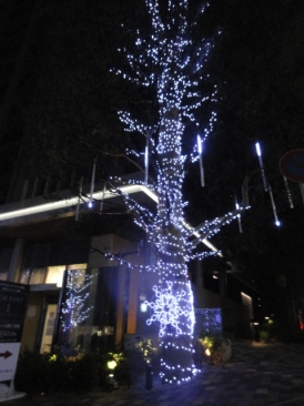 ザ六本木東京クラブレジデンス（THE ROPPONGI TOKYO CLUB RESIDENCE）