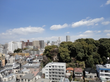 アクシルコート島津山南