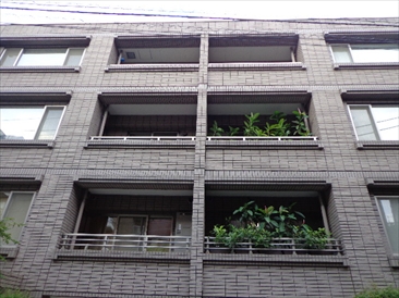 南青山ドミシル