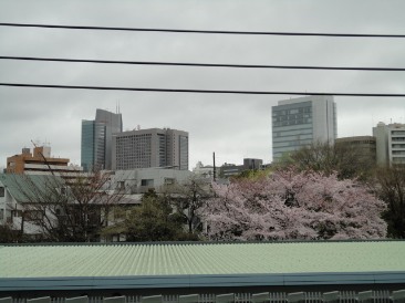 パークビュー南青山