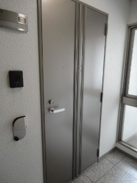 カスタリア新富町