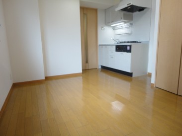 カスタリア新富町