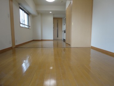 カスタリア新富町