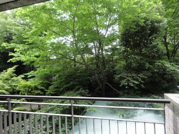 城山トラストコート