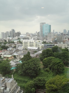ザ・イトヤマタワー （The Itoyama Tower）