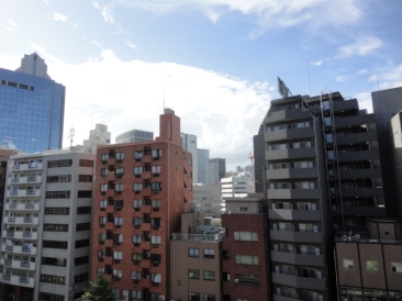 クリアウォータ芝