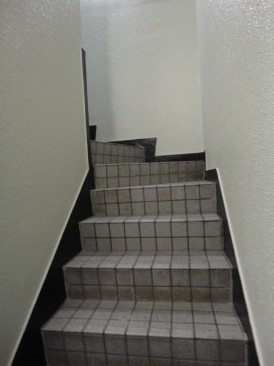 パナッシュビル