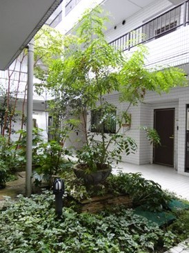 パティオ原宿