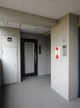 ベルーガ八丁堀