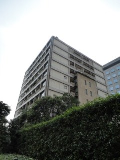 アークフォレストテラス