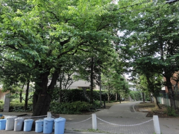 元麻布ヒルズフォレストタワー