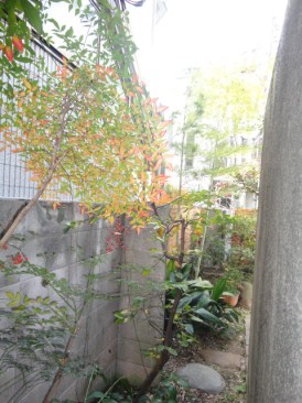 小林ビル（事務所）