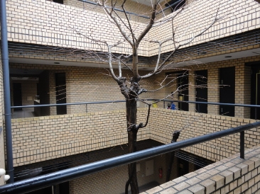 ストークマンション代々木