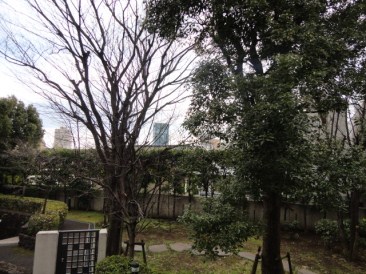 千駄ヶ谷4丁目テラスハウスＡ棟