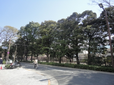 サカエ御苑マンション